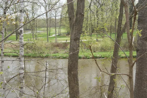 9 Whitetail Trail