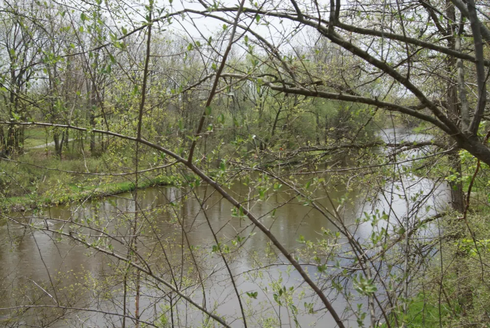 5 Whitetail Trail Mount Pleasant, MI 48858
