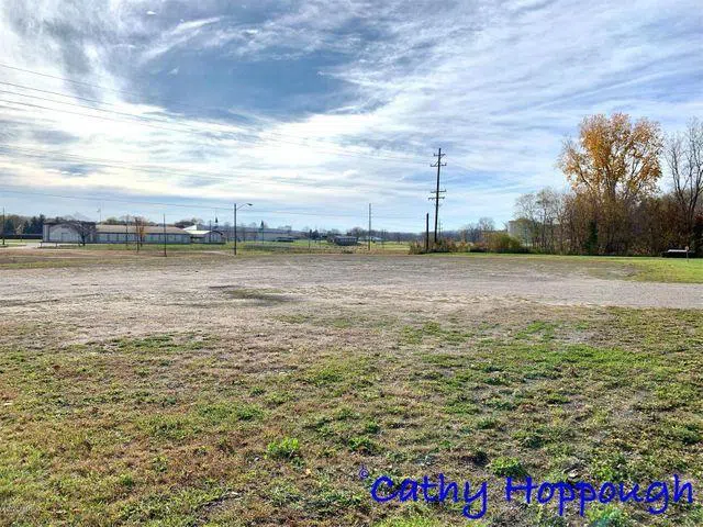 261 S Dexter Street Ionia, MI 48846