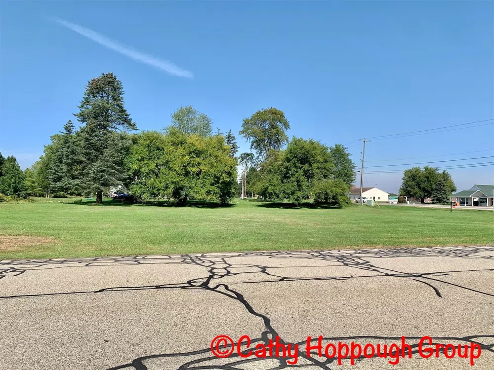 Reimer Drive Ionia, MI 48846