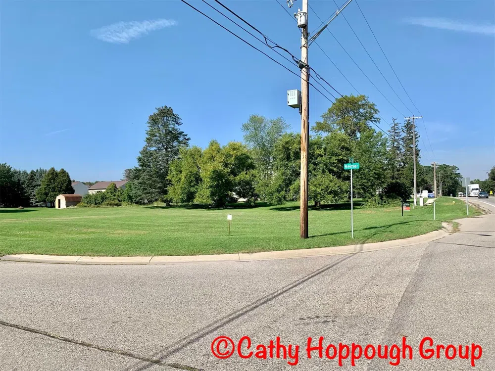 Reimer Drive Ionia, MI 48846