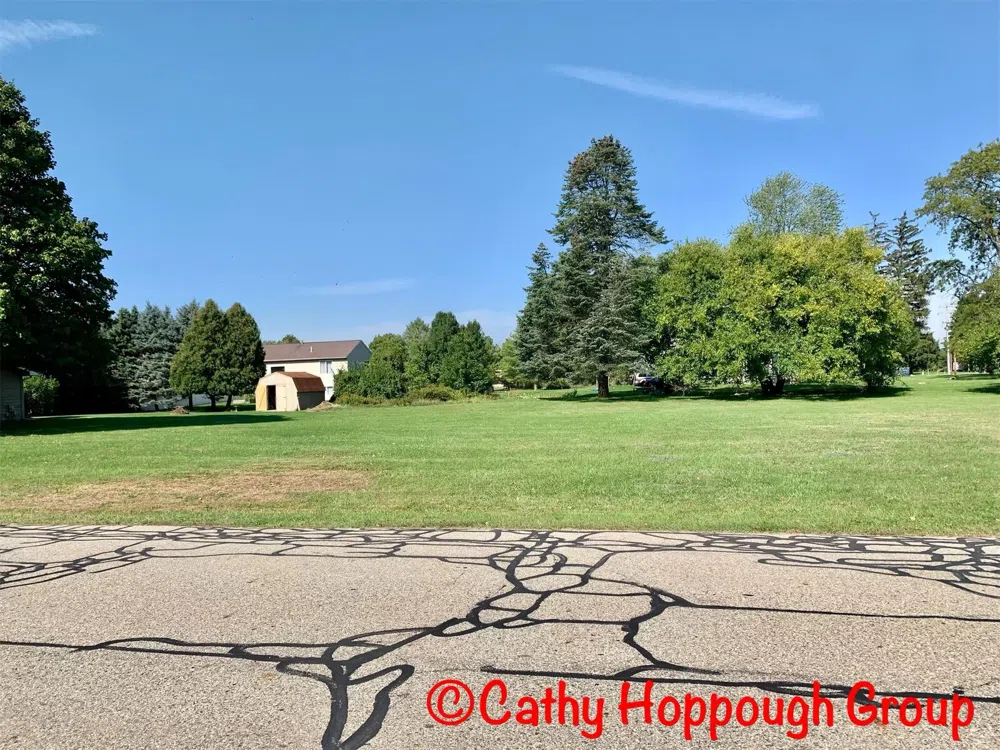 Reimer Drive Ionia, MI 48846