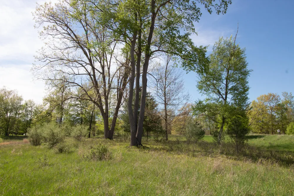 11463 Killarney Drive Stanwood, MI 49346
