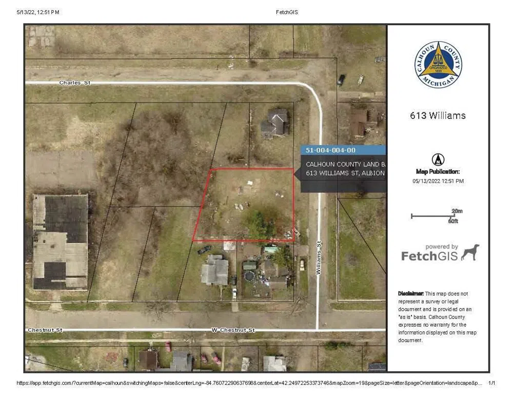 613 Williams Street Albion, MI 49224