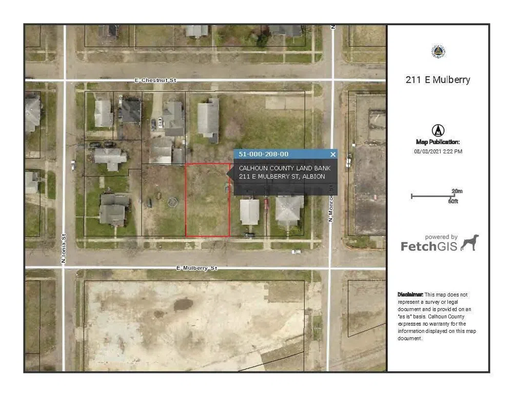 211 E Mulberry Street Albion, MI 49224