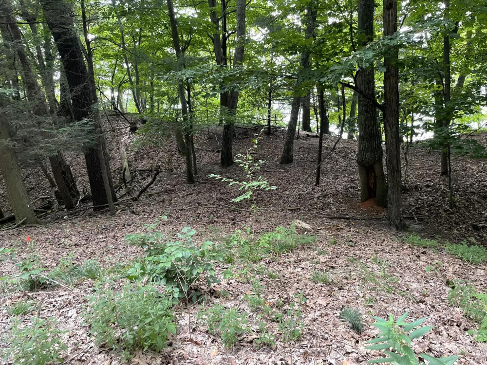 2087 S Glen Road Shelby, MI 49455