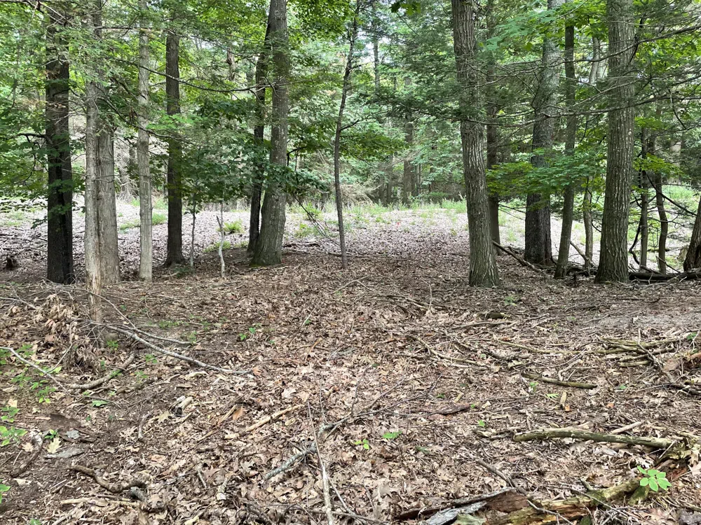 2087 S Glen Road Shelby, MI 49455