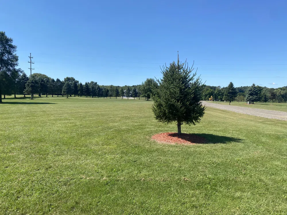 RIVER BEND Drive Lot #5 Concord, MI 49237