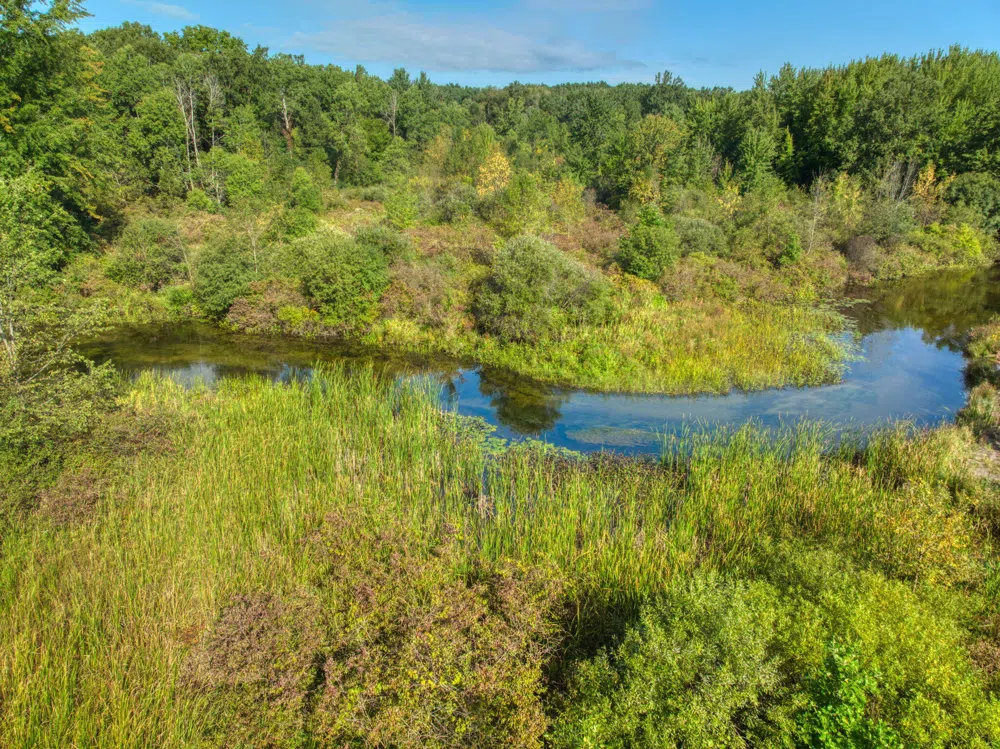 RIVER BEND Drive Lot #5 Concord, MI 49237