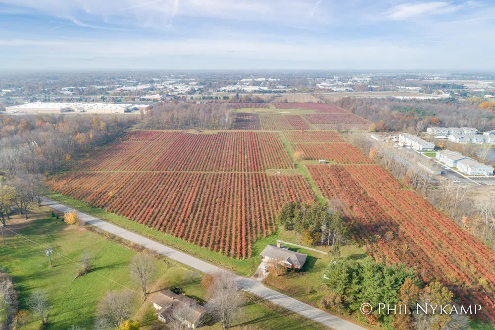 3717 Beeline Road Holland, MI 49424