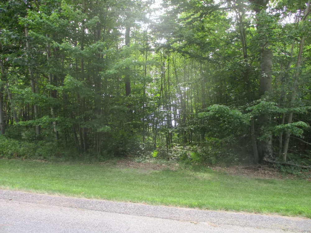 Emerald Ridge   Lot #13 Onekama, MI 49675