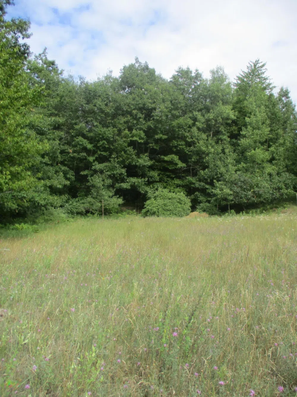 Emerald Ridge   Lot #13 Onekama, MI 49675