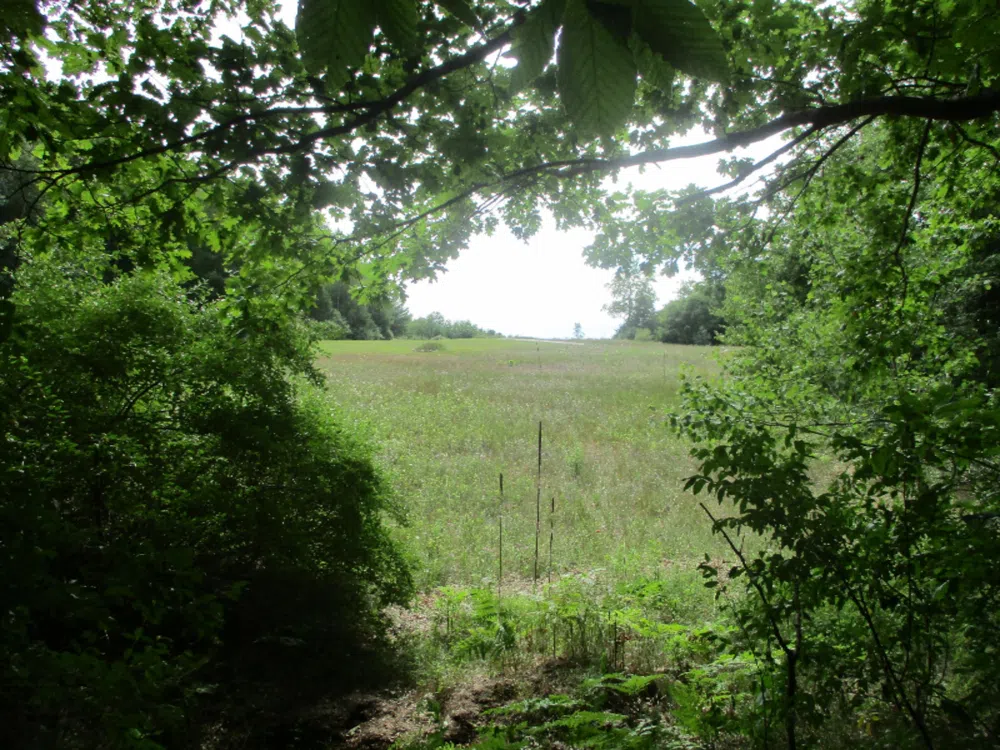 Emerald Ridge   Lot #13 Onekama, MI 49675