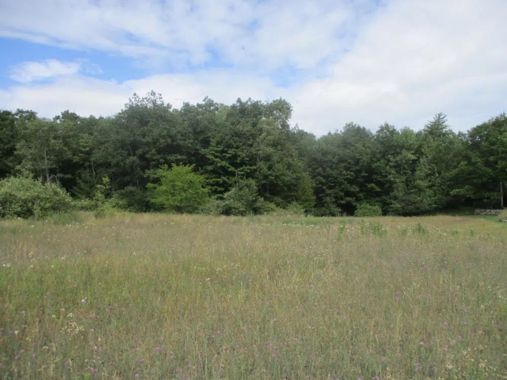 Emerald Ridge   Lot #13 Onekama, MI 49675