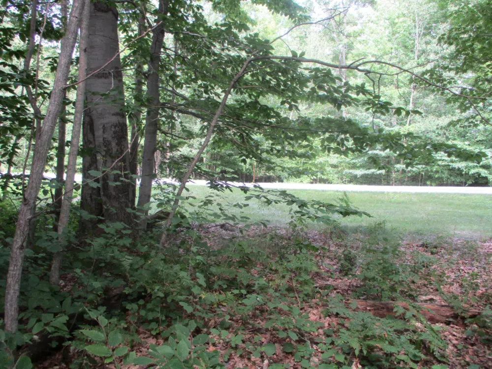 Emerald Ridge   Lot #13 Onekama, MI 49675