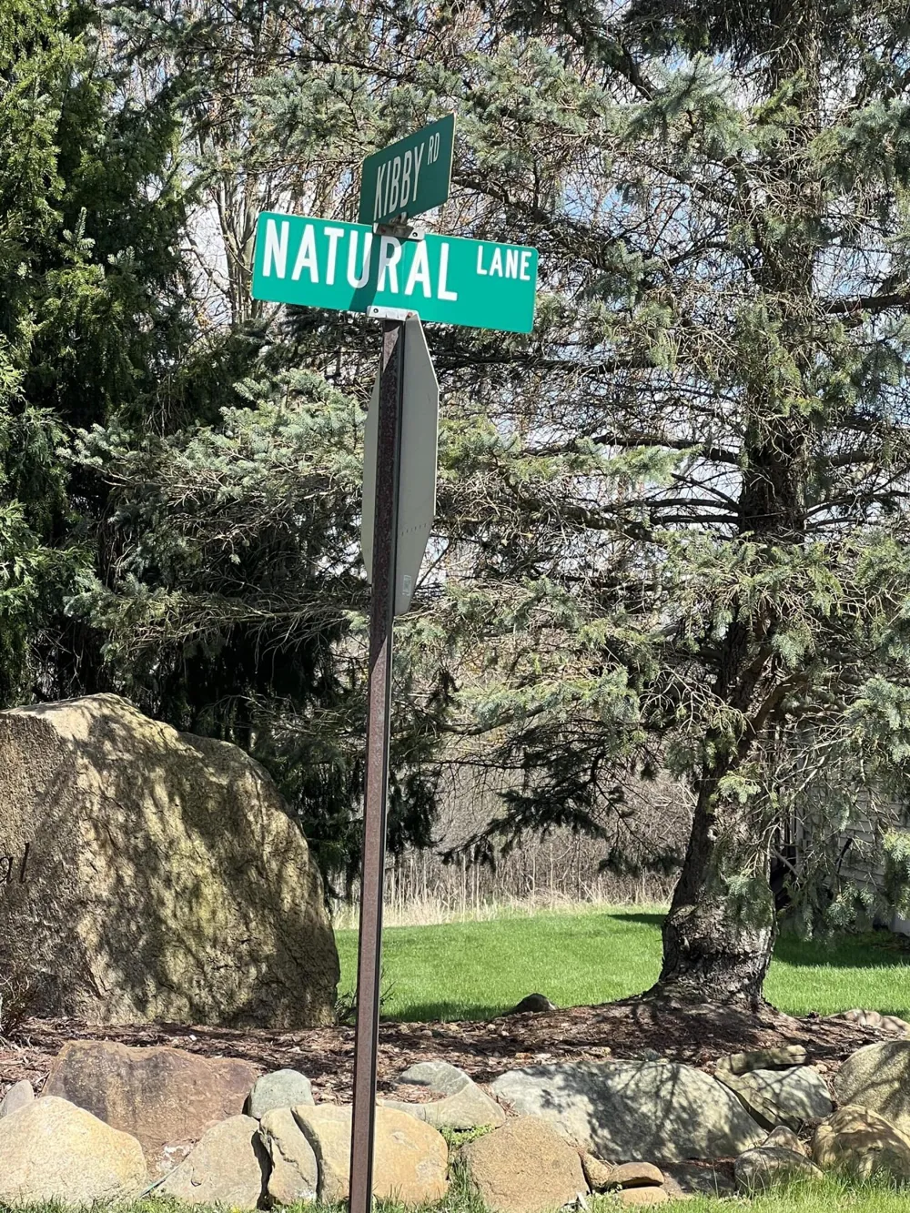31 Natural Lane Jackson, MI 49203