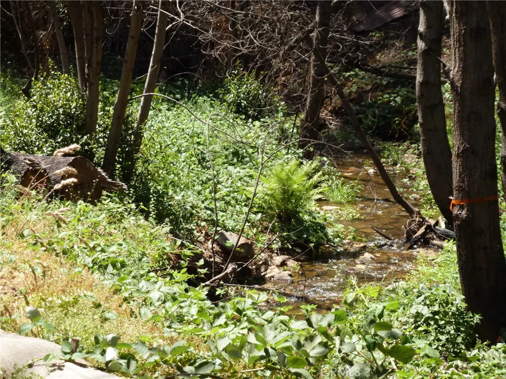 9741 Oroville Quincy Highway Berry Creek, CA 95916