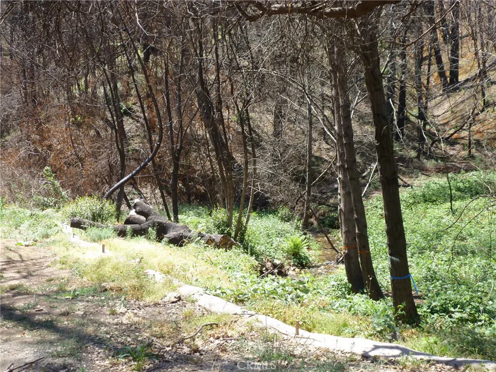 9741 Oroville Quincy Highway Berry Creek, CA 95916