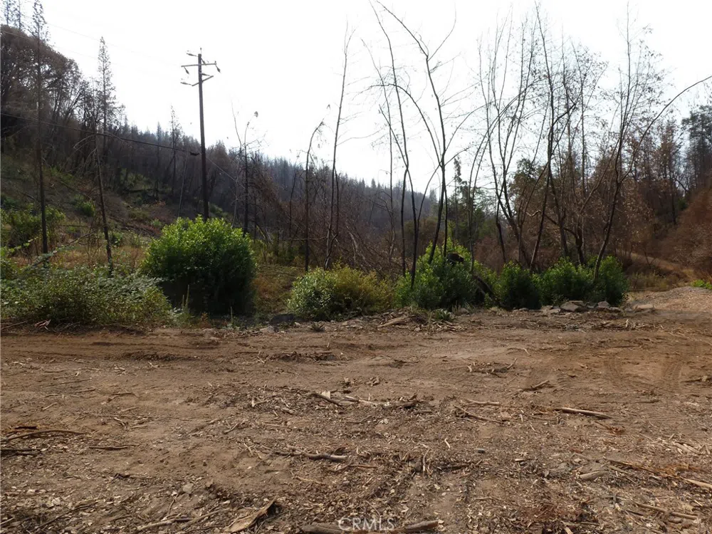 9741 Oroville Quincy Highway Berry Creek, CA 95916