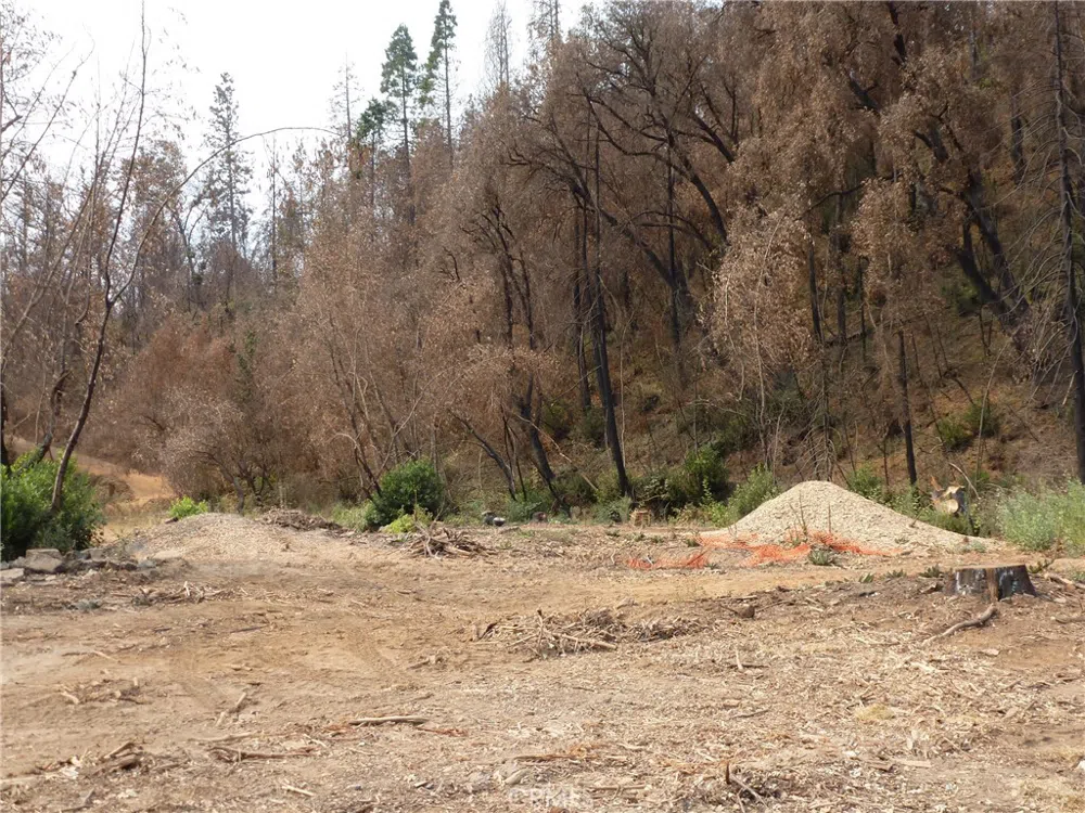 9741 Oroville Quincy Highway Berry Creek, CA 95916