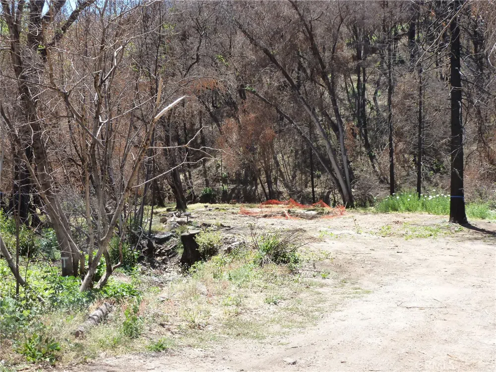 9741 Oroville Quincy Highway Berry Creek, CA 95916