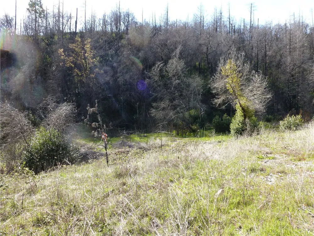 9741 Oroville Quincy Highway Berry Creek, CA 95916