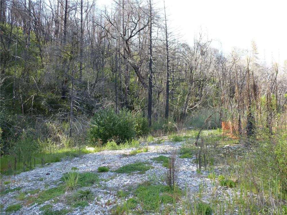 9741 Oroville Quincy Highway Berry Creek, CA 95916
