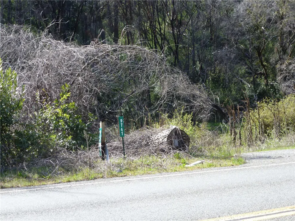 9741 Oroville Quincy Highway Berry Creek, CA 95916