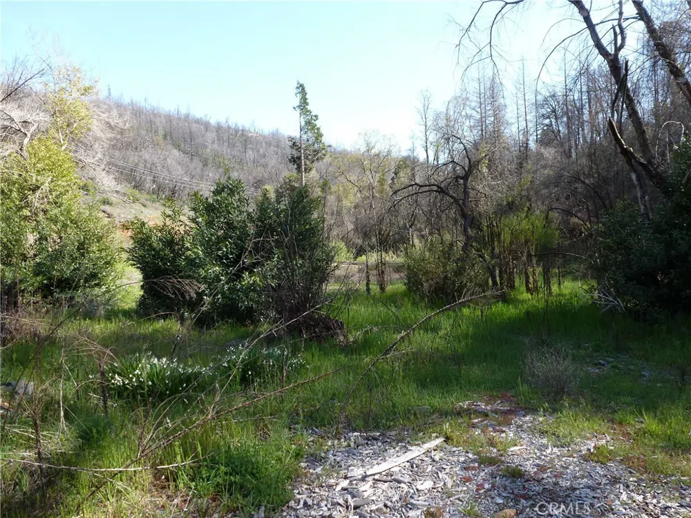 9741 Oroville Quincy Highway Berry Creek, CA 95916