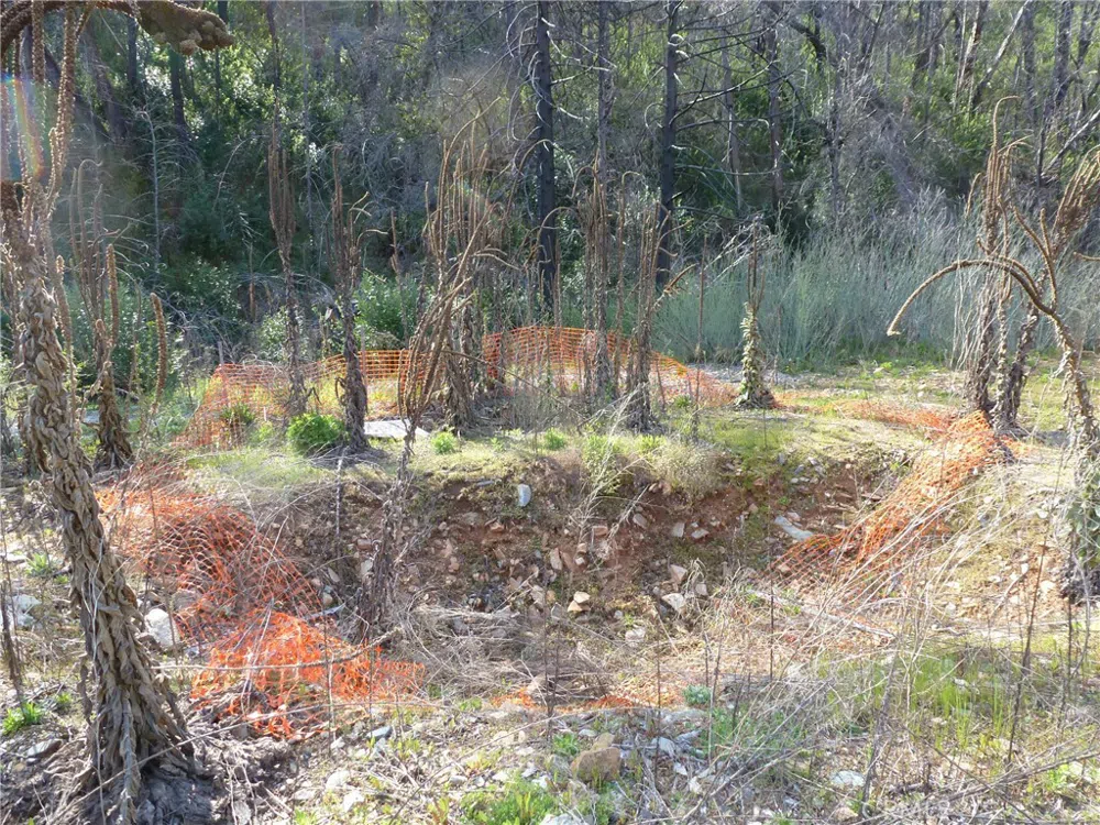 9741 Oroville Quincy Highway Berry Creek, CA 95916