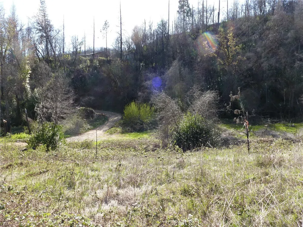 9741 Oroville Quincy Highway Berry Creek, CA 95916