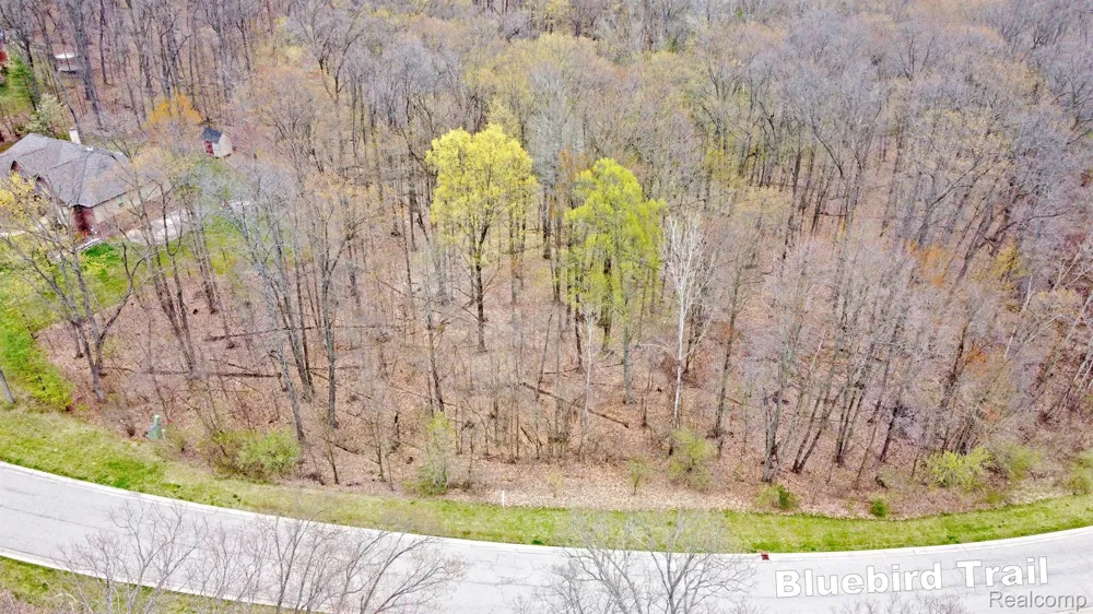 505 BLUEBIRD TRAIL Groveland Township, MI 48462