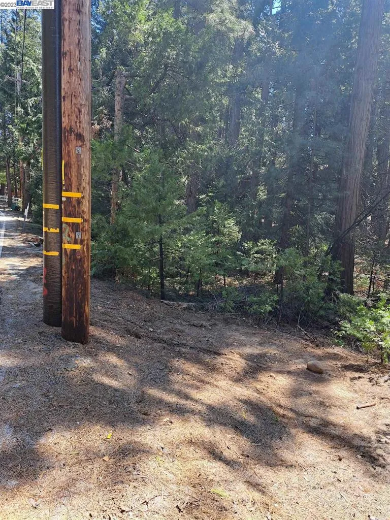 Address Not Shown Pollock Pines, CA 95726