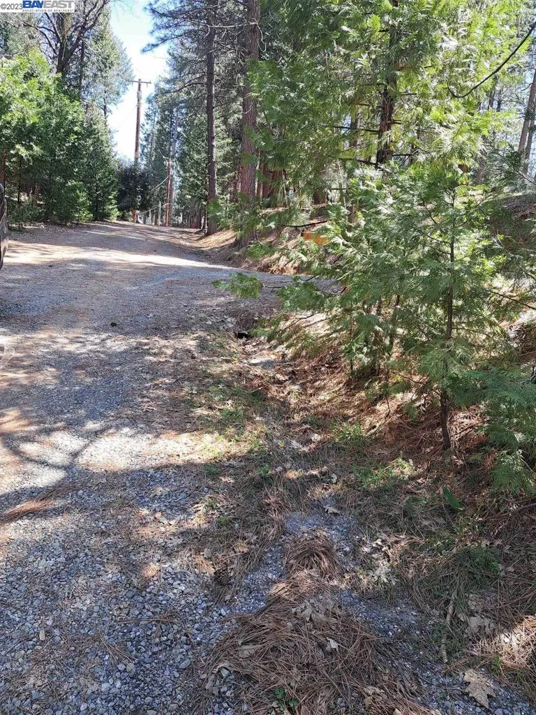 Address Not Shown Pollock Pines, CA 95726