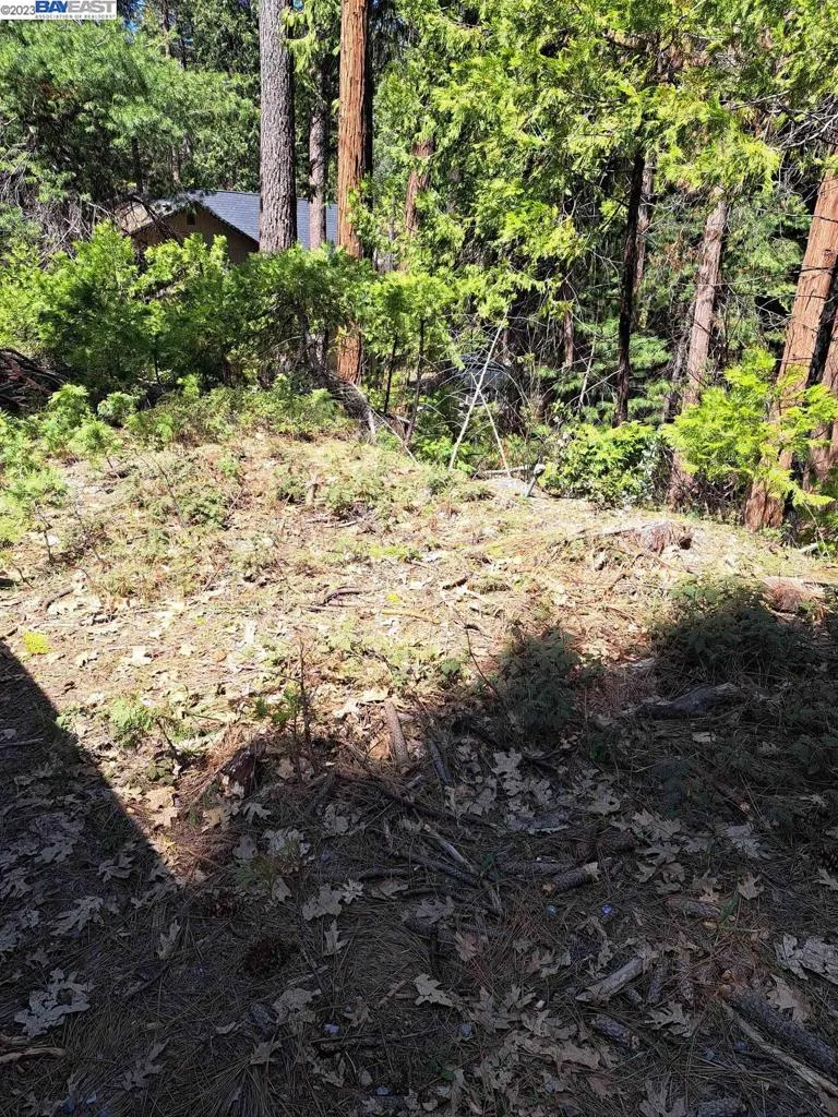 Address Not Shown Pollock Pines, CA 95726