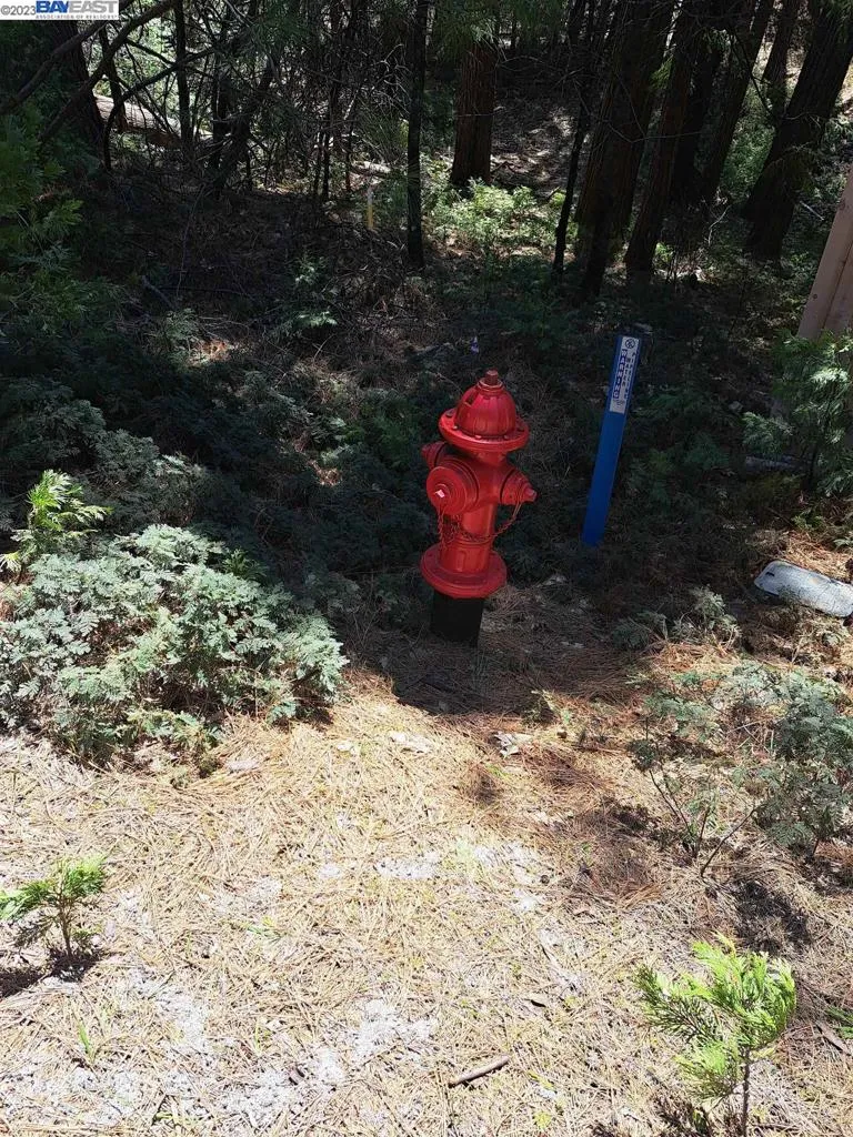 Address Not Shown Pollock Pines, CA 95726
