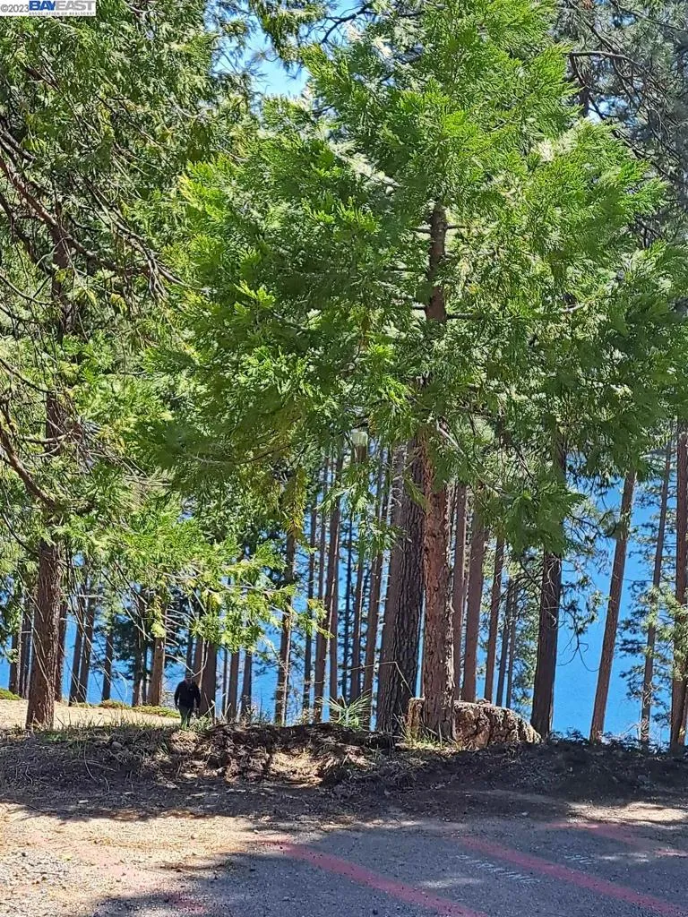 Address Not Shown Pollock Pines, CA 95726