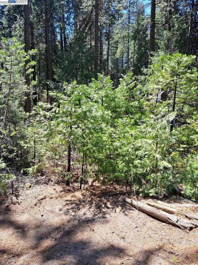 Address Not Shown Pollock Pines, CA 95726