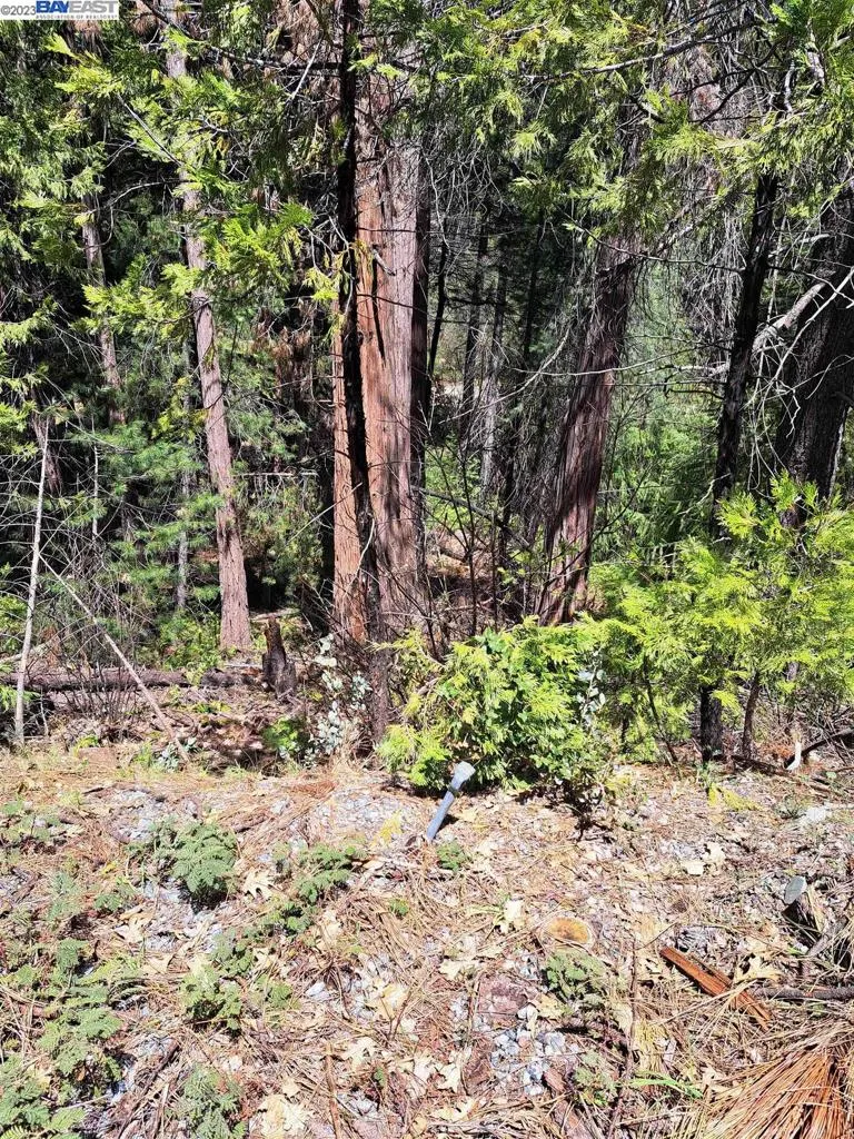 Address Not Shown Pollock Pines, CA 95726