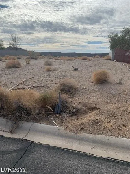 11 Scenic View Lane Palm Gardens, NV 89039