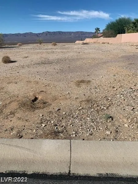 11 Scenic View Lane Palm Gardens, NV 89039