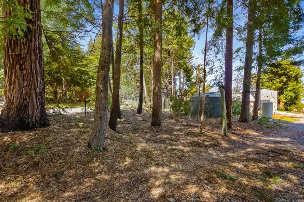 335 Braemoor Drive Santa Cruz, CA 95060