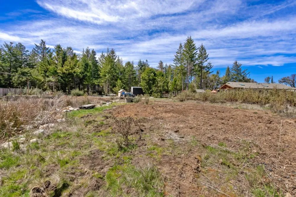 335 Braemoor Drive Santa Cruz, CA 95060