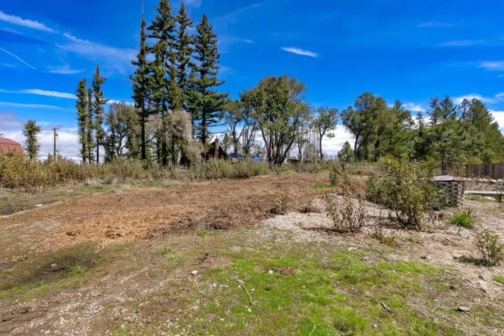 335 Braemoor Drive Santa Cruz, CA 95060