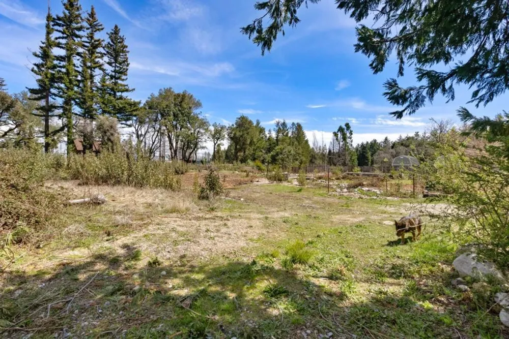 335 Braemoor Drive Santa Cruz, CA 95060