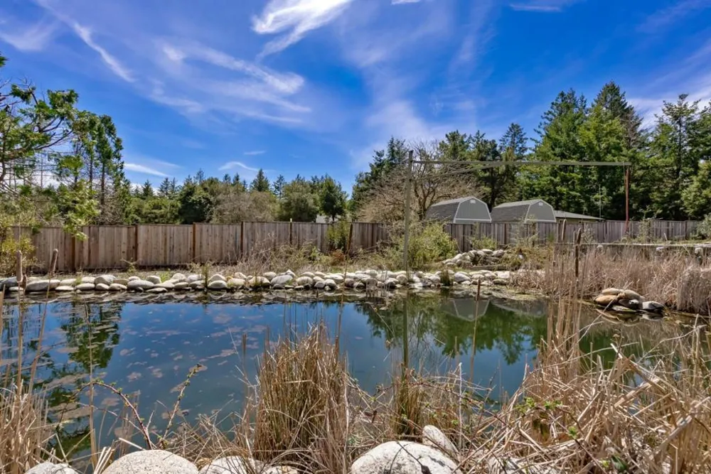 335 Braemoor Drive Santa Cruz, CA 95060