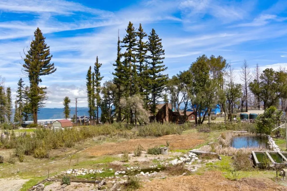 335 Braemoor Drive Santa Cruz, CA 95060