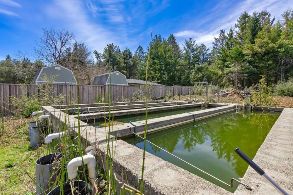 335 Braemoor Drive Santa Cruz, CA 95060