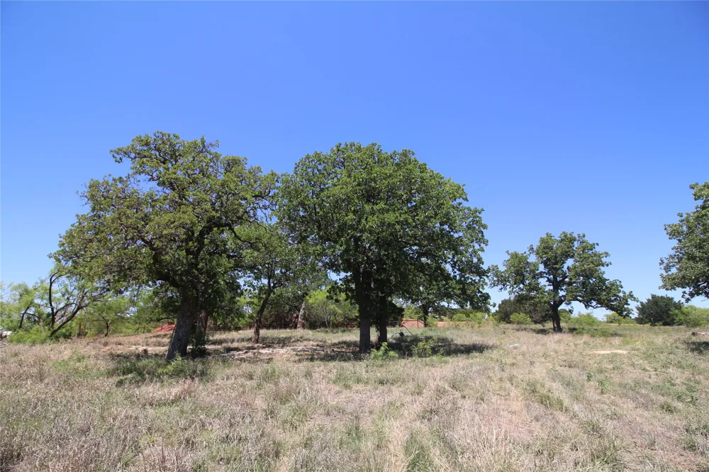 258 Marshal Trail Tuscola, TX 79562