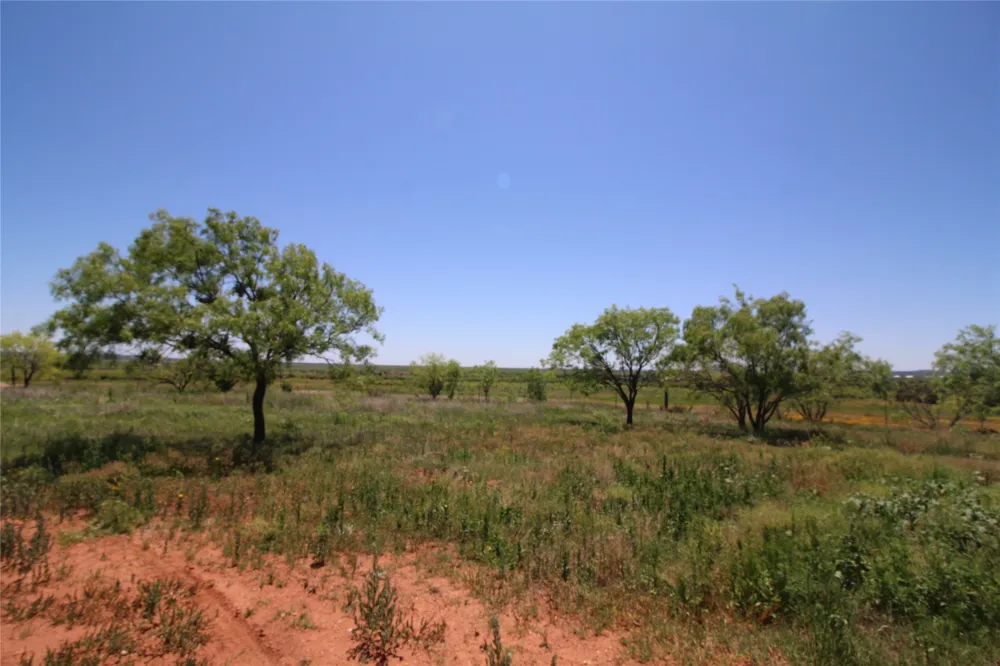 258 Marshal Trail Tuscola, TX 79562